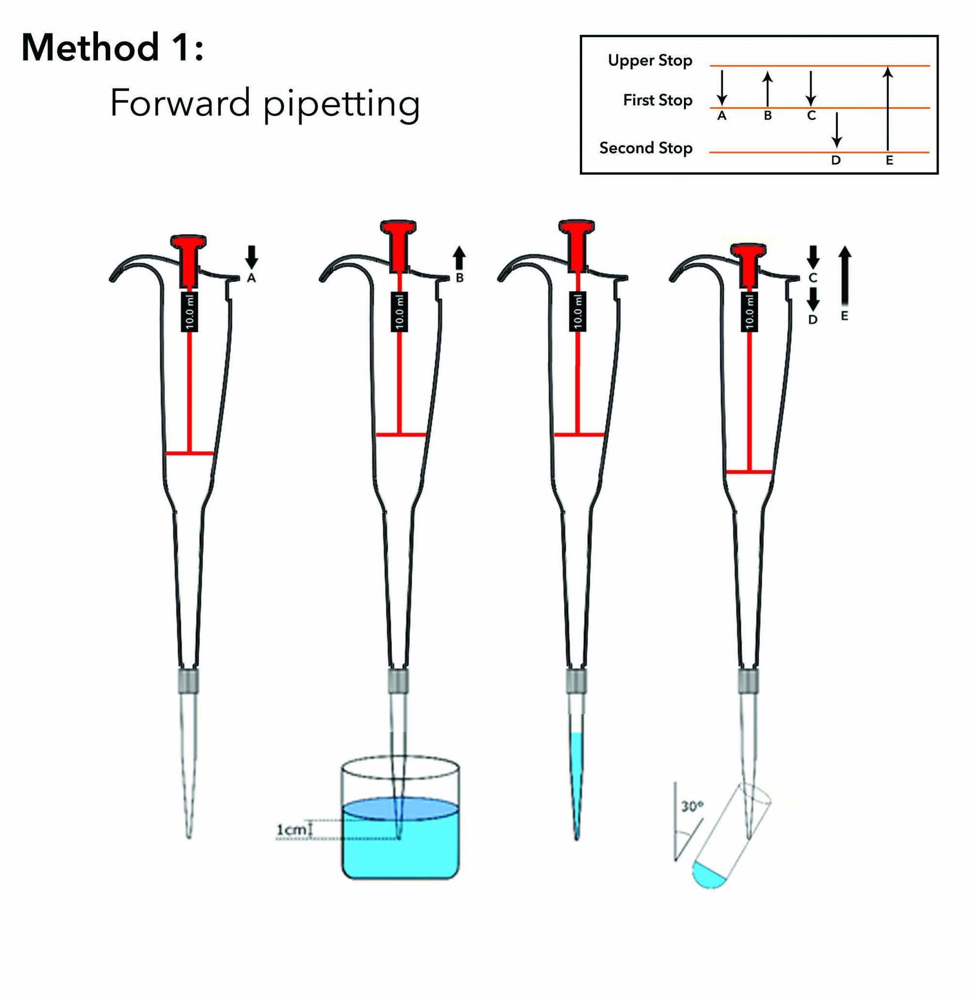 How To Read A Pipette Correctly At Steven Depriest Blog