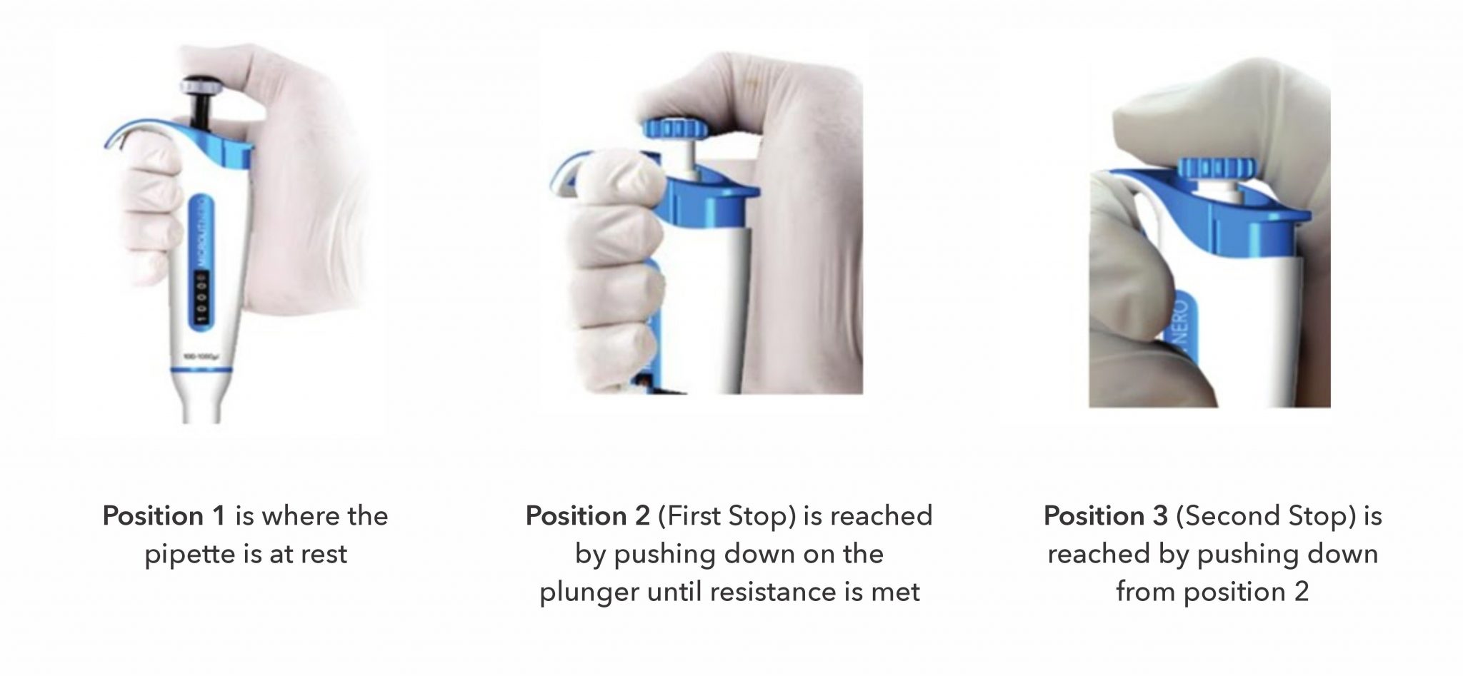 what-is-a-micropipette-how-to-use-a-micropipette-pipetting-techniques