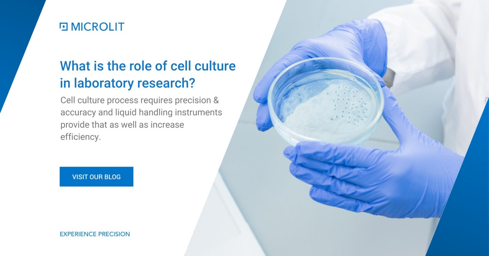 what is Cell culture